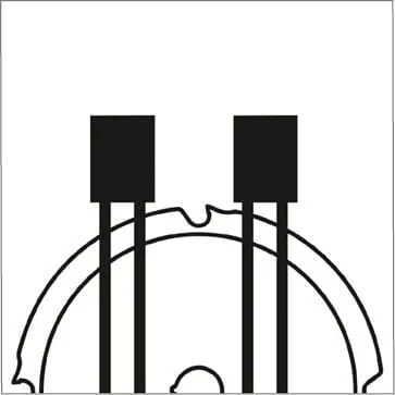 Forme del dente - Dente piatto