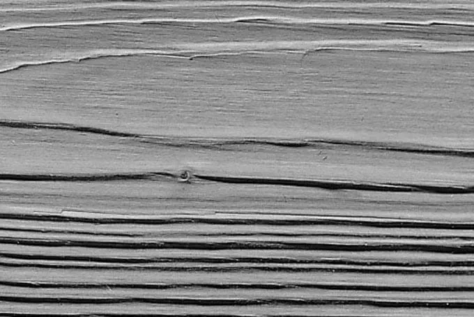 spazzolatura-legno