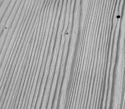 Superficie dopo che è stata levigata con le setole in plastica della spazzola Rustilon.