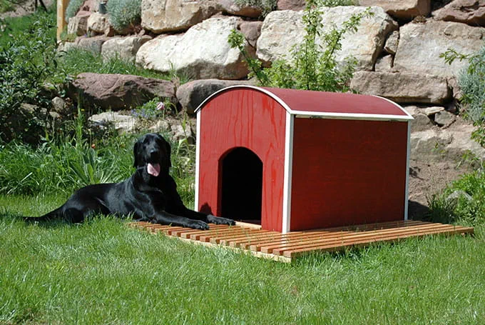 Cuccia per cani